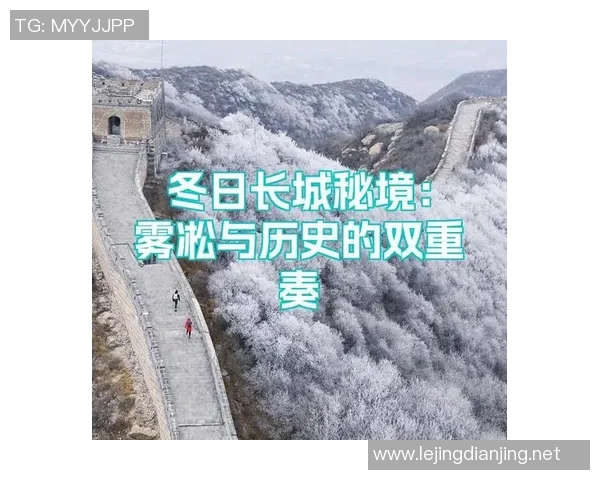 s15电竞总决赛深度对话陈伟探讨英雄联盟的成长与挑战之路