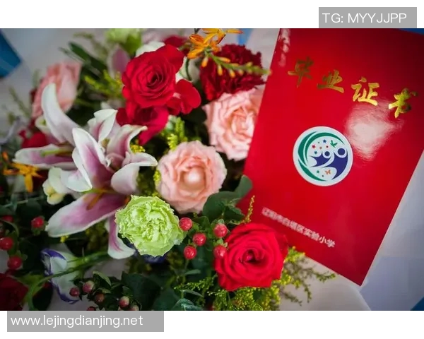 陈敏回顾英雄联盟职业生涯的点滴与成长之路 陈敏回顾英雄联盟职业生涯的点滴与成长之路